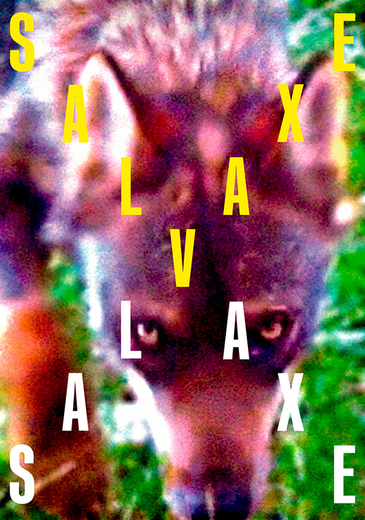 SALVAXE SALVAXE